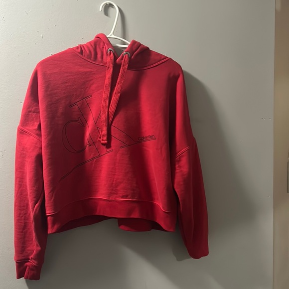 Crop Top Hoodie Sweater - Picture 1 of 1